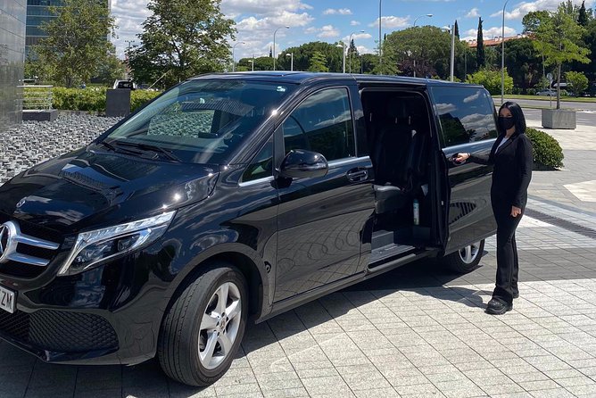 Private 12-Hour Tour to Sevilla From Malaga With Hotel Pick up - Customer Reviews