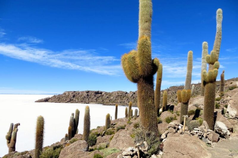 Private 1D Complete Tour Salar Uyuni, Lunch - Thunupa - Photography Opportunities