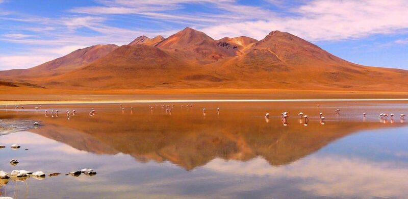 Private 1D Tour to Red Lagoon and Lípez Region From Uyuni - Experience Highlights