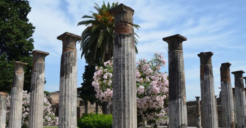 Private 2.5-Hour Pompeii Tour - Booking Information