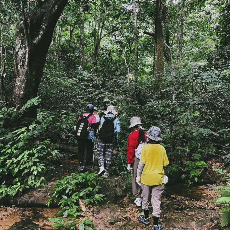 Private 2-Day Cuc Phuong National Park and Van Long Tour - Tour Overview and Highlights