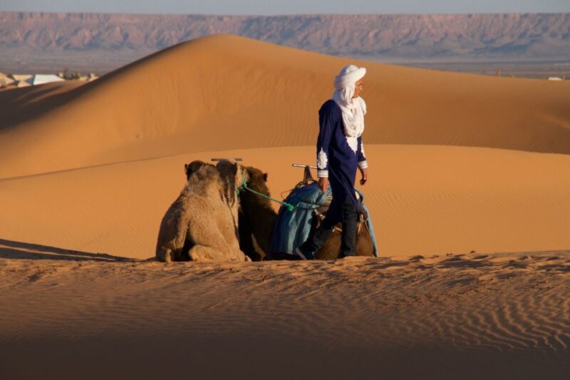 Private 2-Day Desert Trip With Camping & Camel Trekking - Experience Highlights