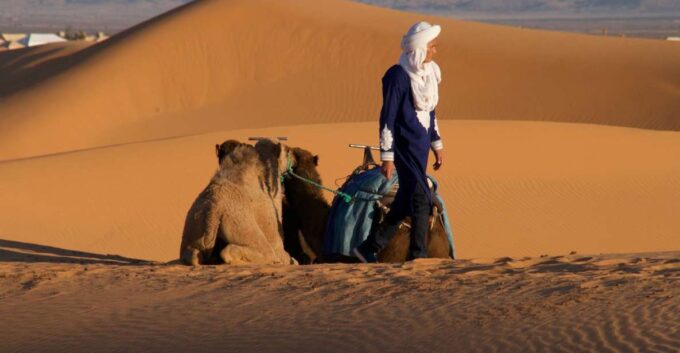 Private 2-Day Desert Trip With Camping & Camel Trekking - Customer Reviews
