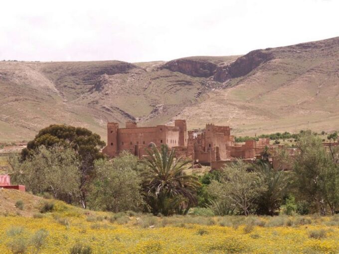 Private 2-Day Desert Trip With Camping & Camel Trekking - Duration and Language Options