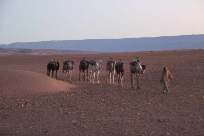 Private 2-Day Desert Trip With Camping & Camel Trekking - Frequently Asked Questions