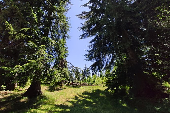 Private 2-Day Horseback Riding in Rhodope Mountains From Plovdiv - Overnight Stay and Luggage Transfer