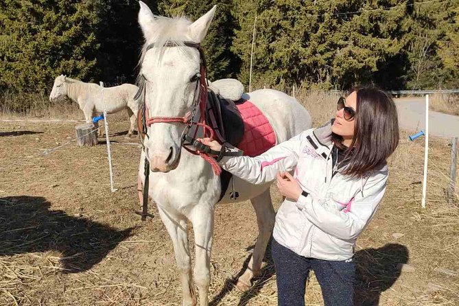 Private 2-Day Horseback Riding in Rhodope Mountains From Plovdiv - Viator Help Centre