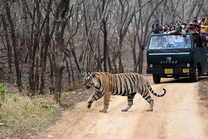 Private 2-Day Jaipur Tour With Ranthambore Safari - Sum Up