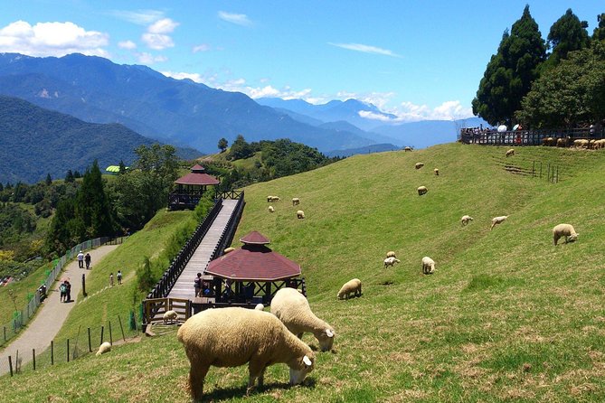 Private 2-Day Qingjing and Hehuan Mountain Tour - Pickup Information