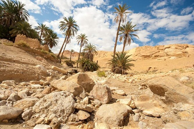 PRIVATE 2 Day SAFARI (Ksar Ghilane and Atlas Mountains) From Jerba - Pricing and Availability Details