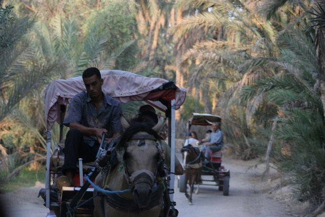 PRIVATE 2 Day SAFARI (Ksar Ghilane and Atlas Mountains) From Jerba - Health and Safety Considerations