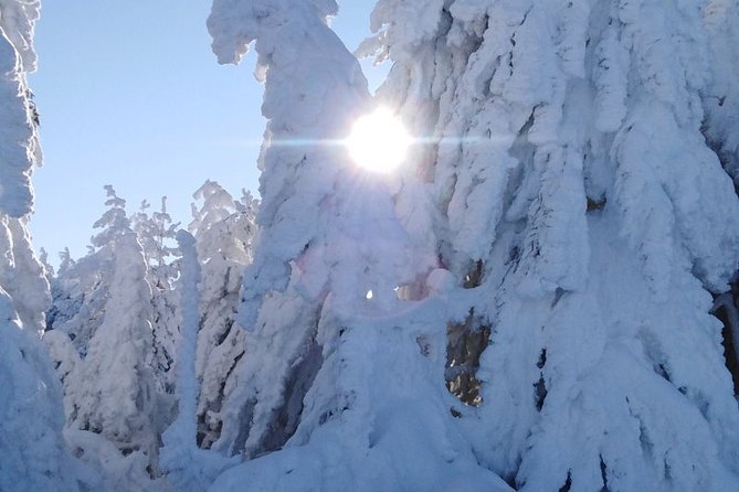 Private 2-Day Trip With Snowshoes - Private Tour Experience
