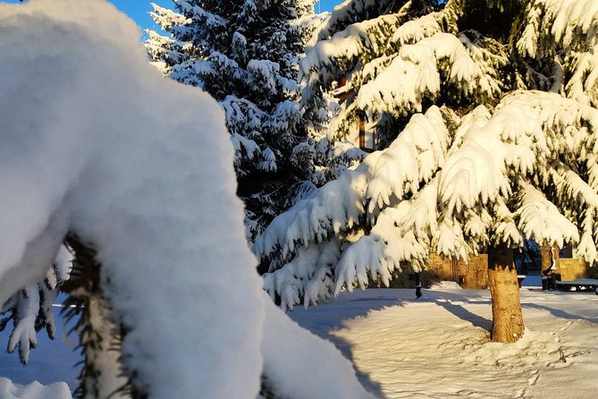Private 2-Day Trip With Snowshoes - Cancellation Policy