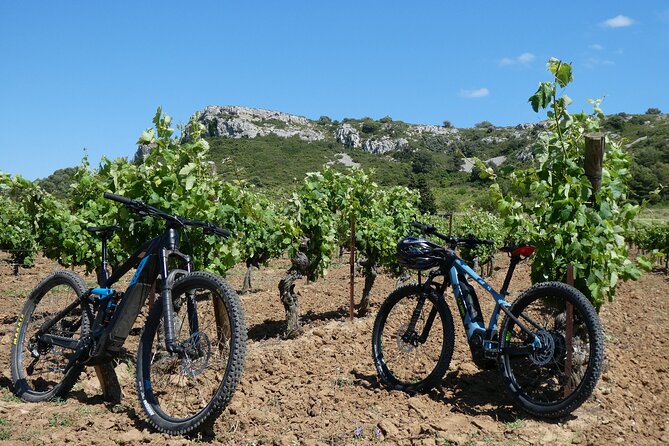 Private 2-Day Visit to Discover the Minervois Vineyards - About Your Stay