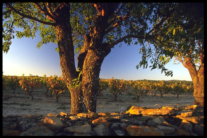 Private 2-Day Visit to Discover the Minervois Vineyards - Meeting and End Points