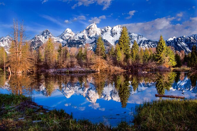 Private 2-Day Yellowstone Tour - Upper and Lower Loop - Reviews and Confirmation
