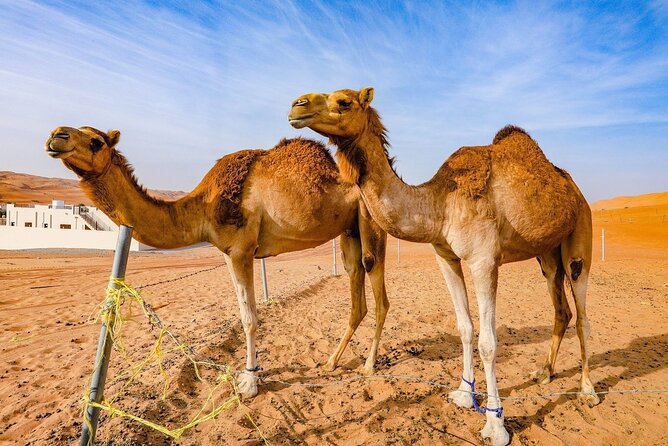 Private 2 Days 1 Night Wahiba Sands Desert and Wadi Bani Khalid Tour - Wadi Bani Khalid