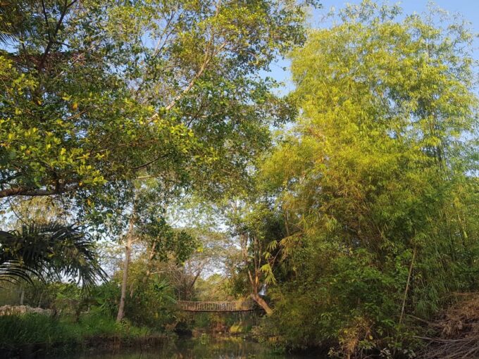 Private 2 Days 1 Nights Tour HCM- Can Tho Mekong Delta - Flexibility