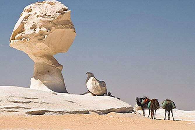 Private 2 Days Jeep Safari to White Desert and Bahariya Oasis - Exploring the Bahariya Oasis