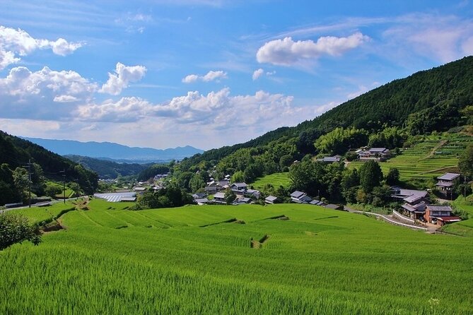 Private 2 Days Tour in Okayama - Japanese Tea