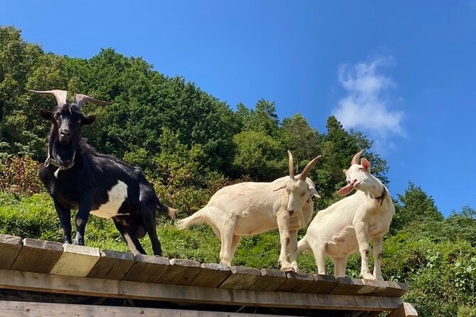 Private 2 Days Tour in Okayama - Tour Confirmation and Booking
