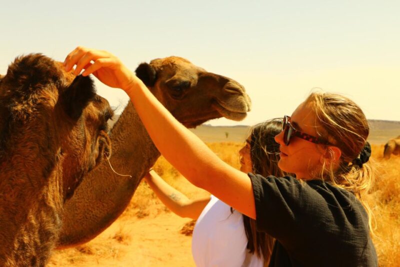 Private 2-Days Tour to Erg Chegaga With Guide From Zagora - Itinerary Highlights