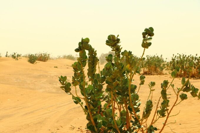 Private 2-Days Tour to Erg Chegaga With Guide From Zagora - Important Considerations
