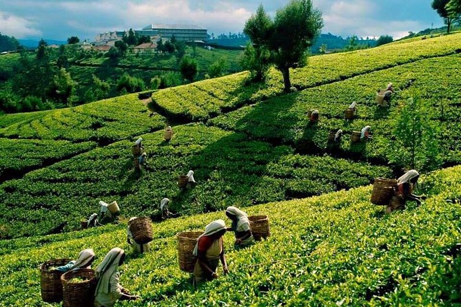 Private 2 Days Trip to Misty Mountains Tour - Additional Information