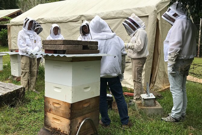 Private 2-Hour Beekeeping Classroom Tour in Honokaa - Overview of the Tour