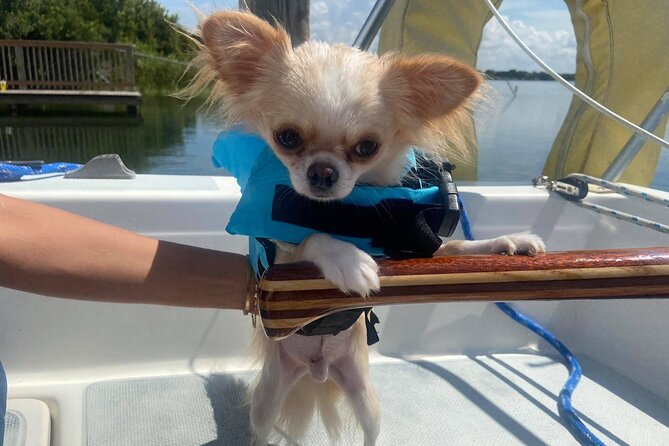 Private 2-Hour Day Sailing Experience - Boat and Sailing Specifications