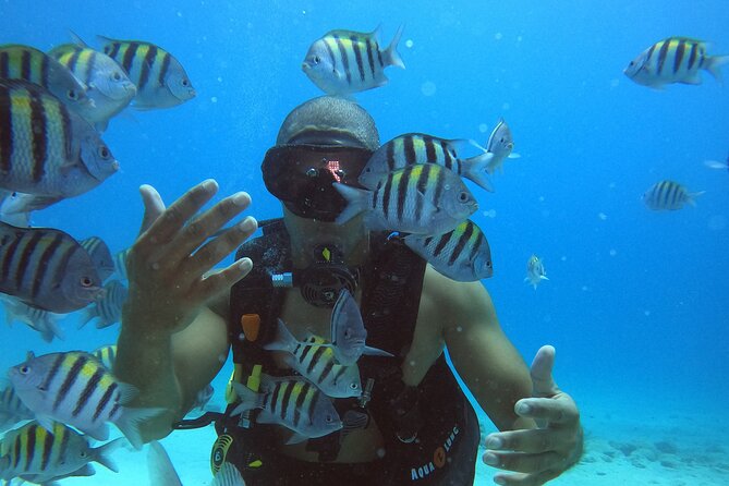 Private 2-Hour Diving Experience With Instructor - Booking and Additional Information