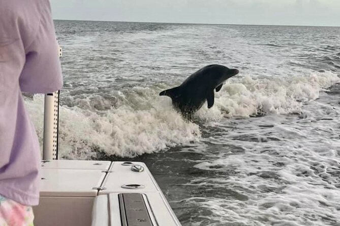 Private 2 Hour Dolphin & Eco Tour Marco Island, FL - Exploring Marco Island