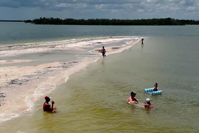 Private 2 Hour Dolphin & Eco Tour Marco Island, FL - Dolphin and Eco Adventure