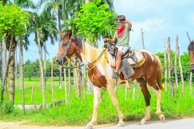 Private 2-Hour Horseback Riding Tour of Macao Alto Beach - Traveler Reviews