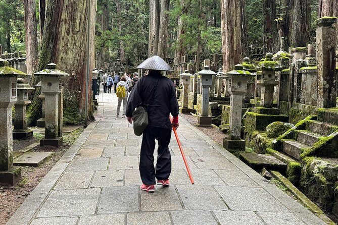 Private 2-Hour Koyasan Highlights Tour – UNESCO Heritage - Exploring Koyasan Okuno-in