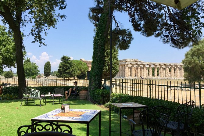 Private 2 Hour Paestum Tour - Exploring Greek Ruins