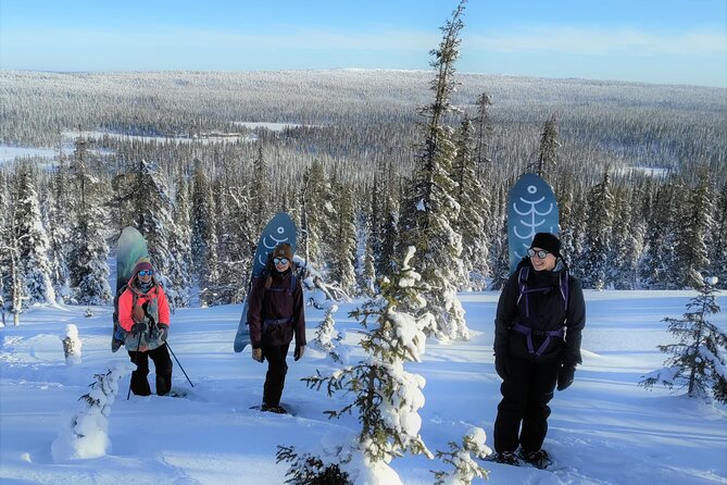 Private 2-Hour Snowboarding in Levi - Key Points