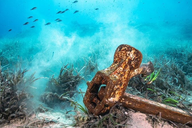 Private 2-Hour Tour in Nassau - What to Expect