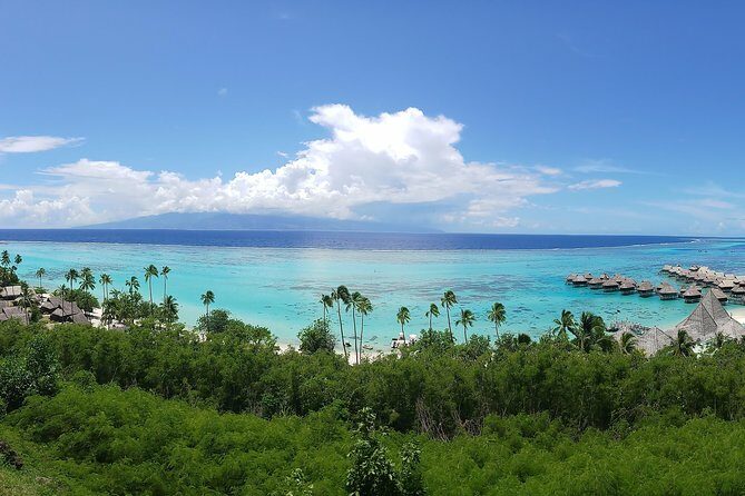 Private 2 Hour Walking Tour in Papeete - Practical Tips for Travelers