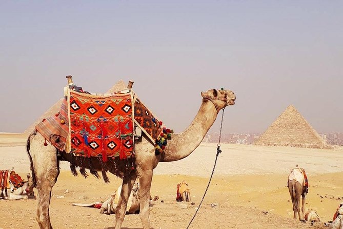 Private 2 Hours Camel Ride at Pyramids of Giza From Cairo - Scenic Photography Opportunities