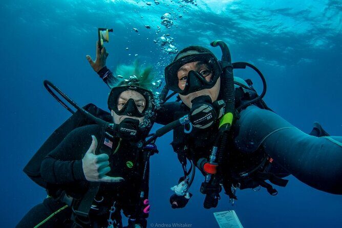Private 2-Tank Dive with PADI Instructor for Certified Divers - Why Travelers Love This Tour