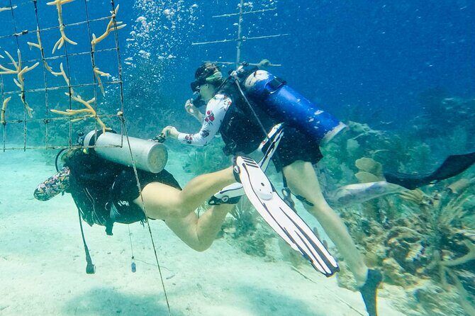 Private 2-Tank Dive with PADI Instructor for Certified Divers - Frequently Asked Questions