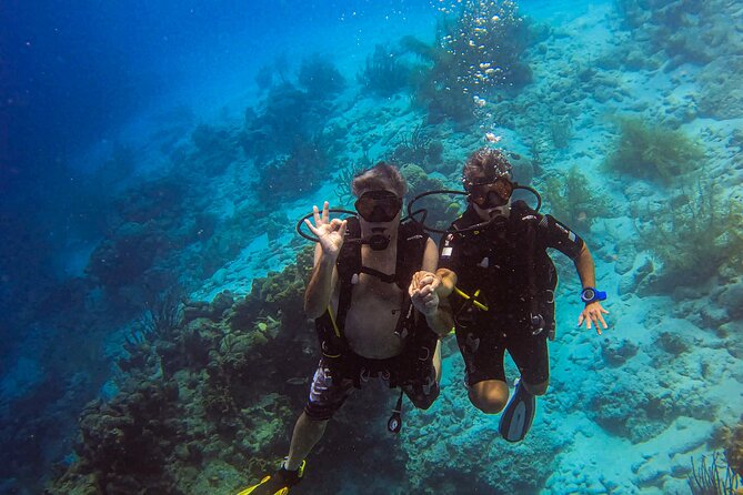 Private 2 Tank Guided Experience in Curaçao for Certified Divers - Location and Operating Hours