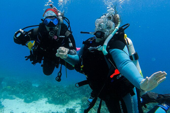 Private 2 Tank Guided Experience in Curaçao for Certified Divers - Pricing and Booking