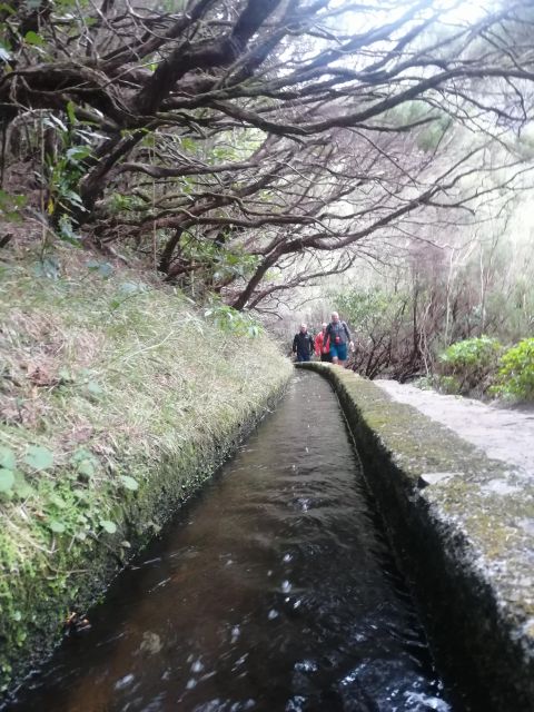 Private - 25 Fontes and Risco Waterfall Guided Tour - Experience Description