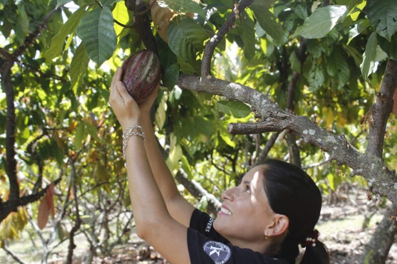 Private 2D Sacred Valley Chocolate Tour - Cocoa Production and Tasting