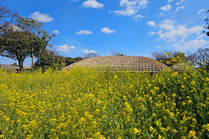 Private 2DAYS Tour a Lot of Experience Driver in Jeju Island - Accessibility and Health Information