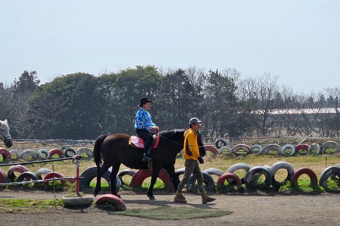 Private 2DAYS Tour a Lot of Experience Driver in Jeju Island - Pricing and Booking