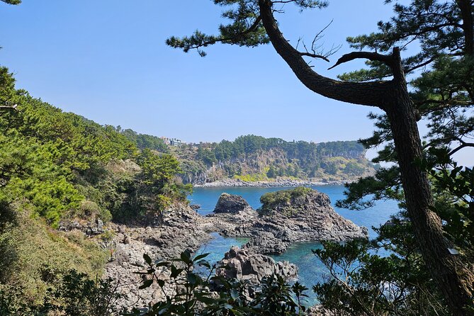 Private 2DAYS Tour a Lot of Experience Driver in Jeju Island - Customer Feedback