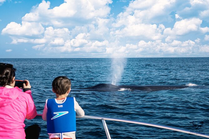 Private 2hr Supreme Whale/Dolphin Watching Tour, Newport Beach CA - What to Expect on the Tour